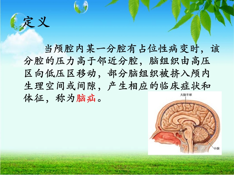 急性脑疝.ppt_第3页