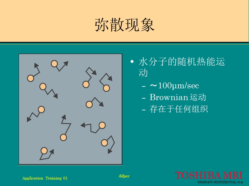 弥散与灌注.ppt_第3页