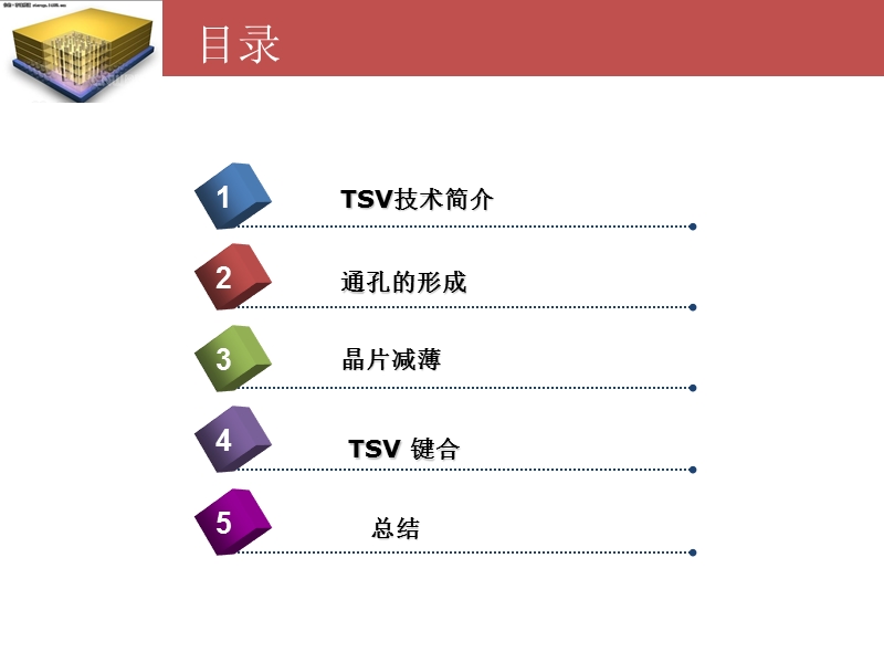 3d封装与硅通孔tsv工艺技术.ppt_第2页