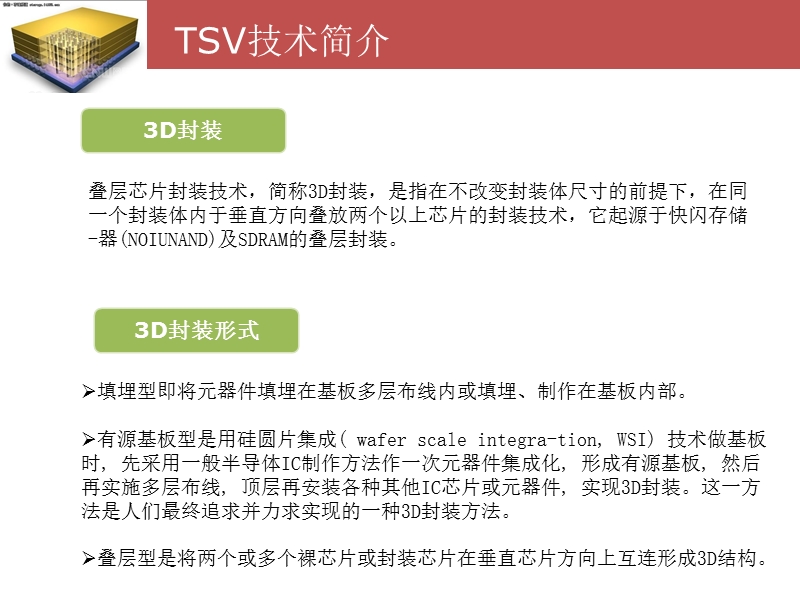 3d封装与硅通孔tsv工艺技术.ppt_第3页