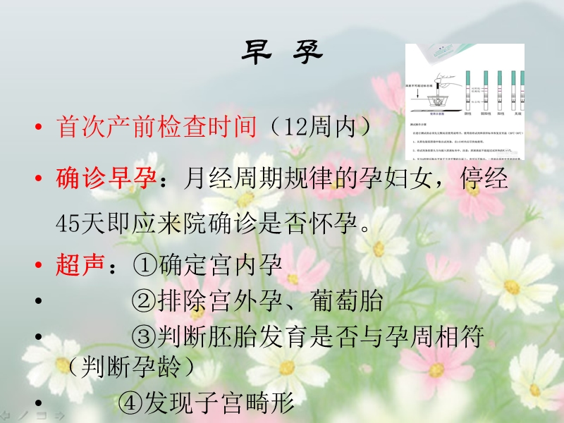 孕期各周的检查.ppt_第2页