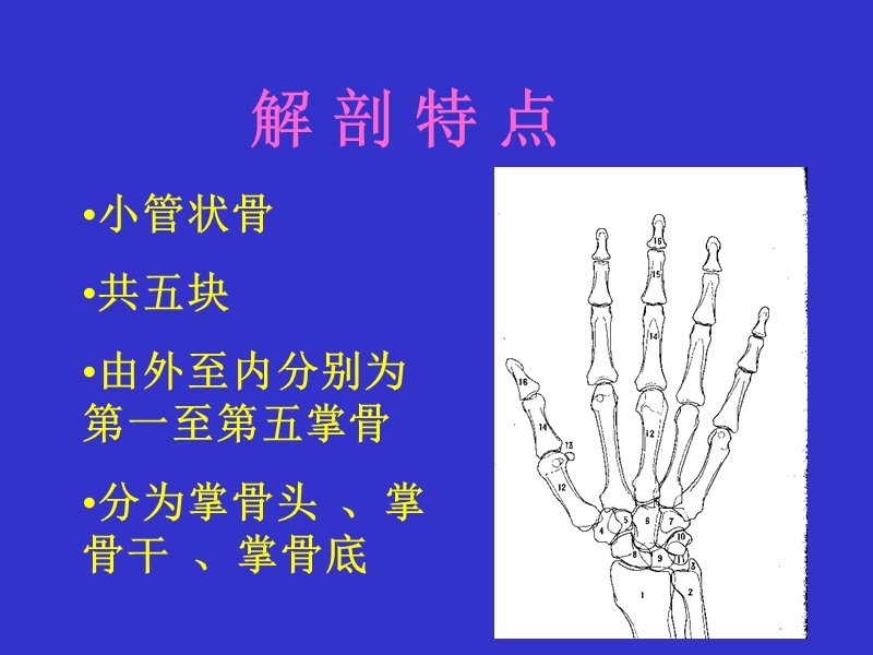 掌骨骨折内固定.ppt_第2页