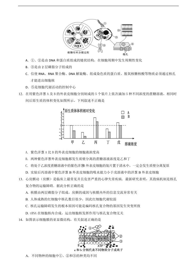 2018年江西省新余市第一中学高三毕业班第四次模拟考试生物试题.doc_第3页