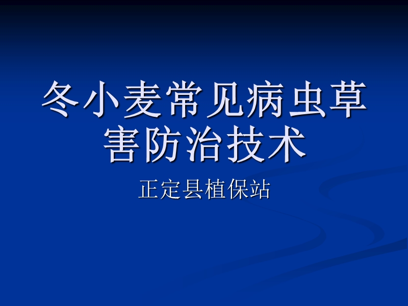 冬小麦常见病虫草害防治技术幻灯.ppt_第1页