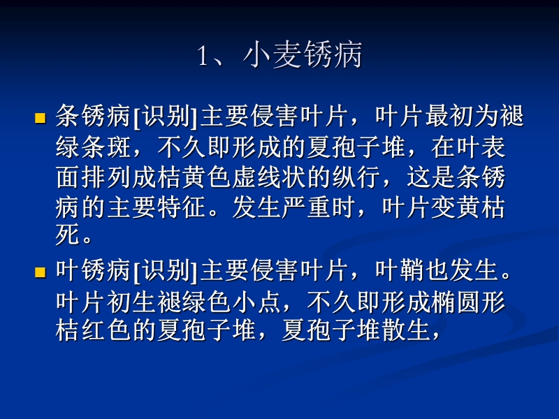 冬小麦常见病虫草害防治技术幻灯.ppt_第3页