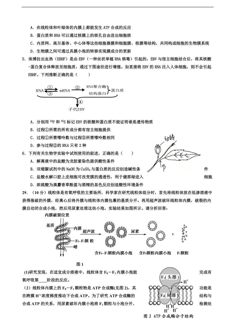 2017年河北省冀州中学高三下学期仿真考试二理综生物试题b卷.doc_第2页