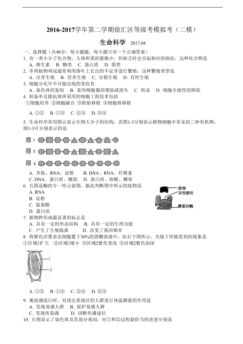 2017年上海市徐汇区高三4月模拟（二模）生物试题.doc_第1页