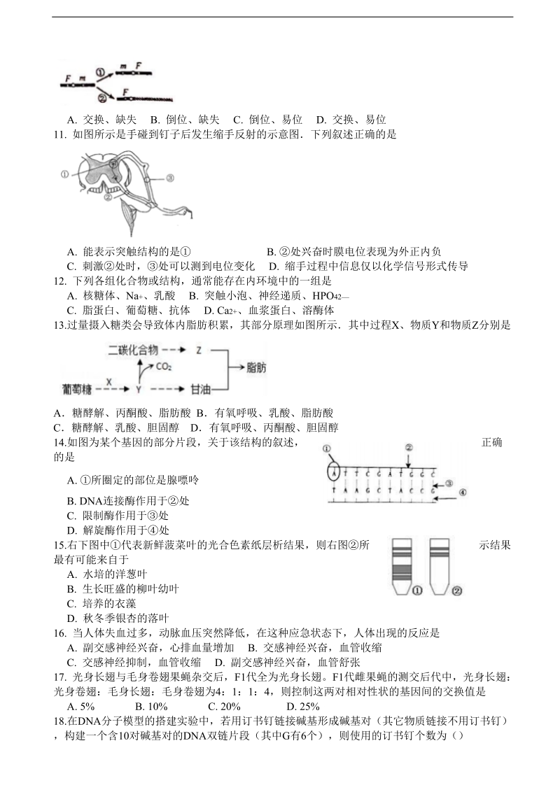 2017年上海市徐汇区高三4月模拟（二模）生物试题.doc_第2页