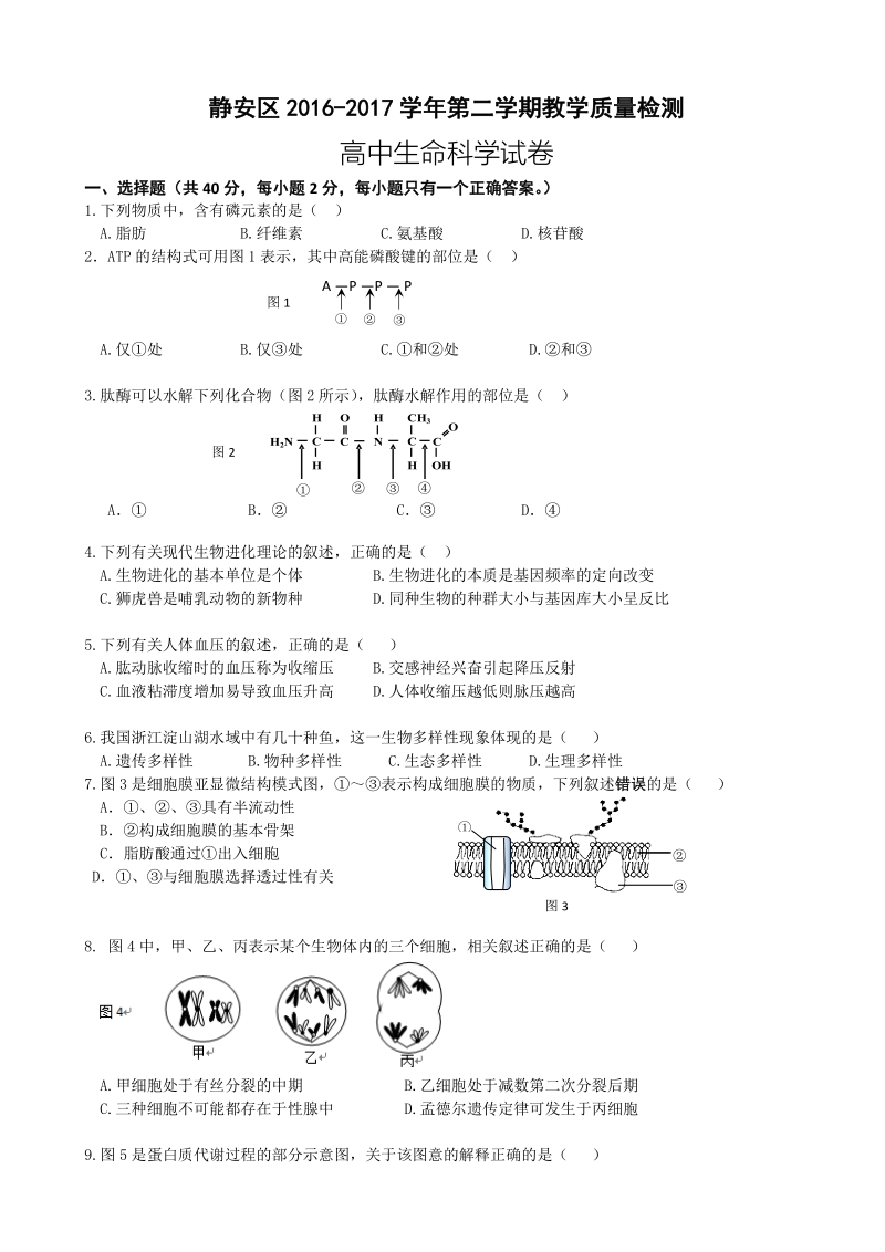 2017年上海市静安区高三4月教学质量检测 二模 生物试题 word版.doc_第1页