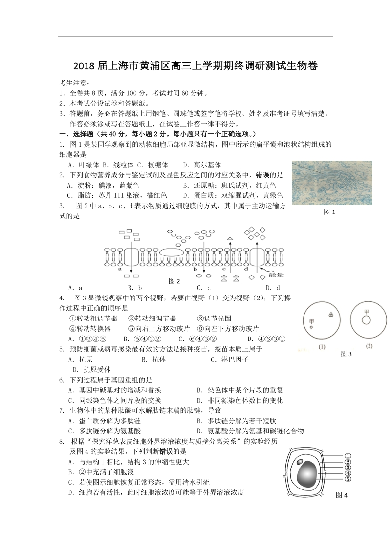 2018年上海市黄浦区高三上学期期终调研测试生物卷.doc_第1页