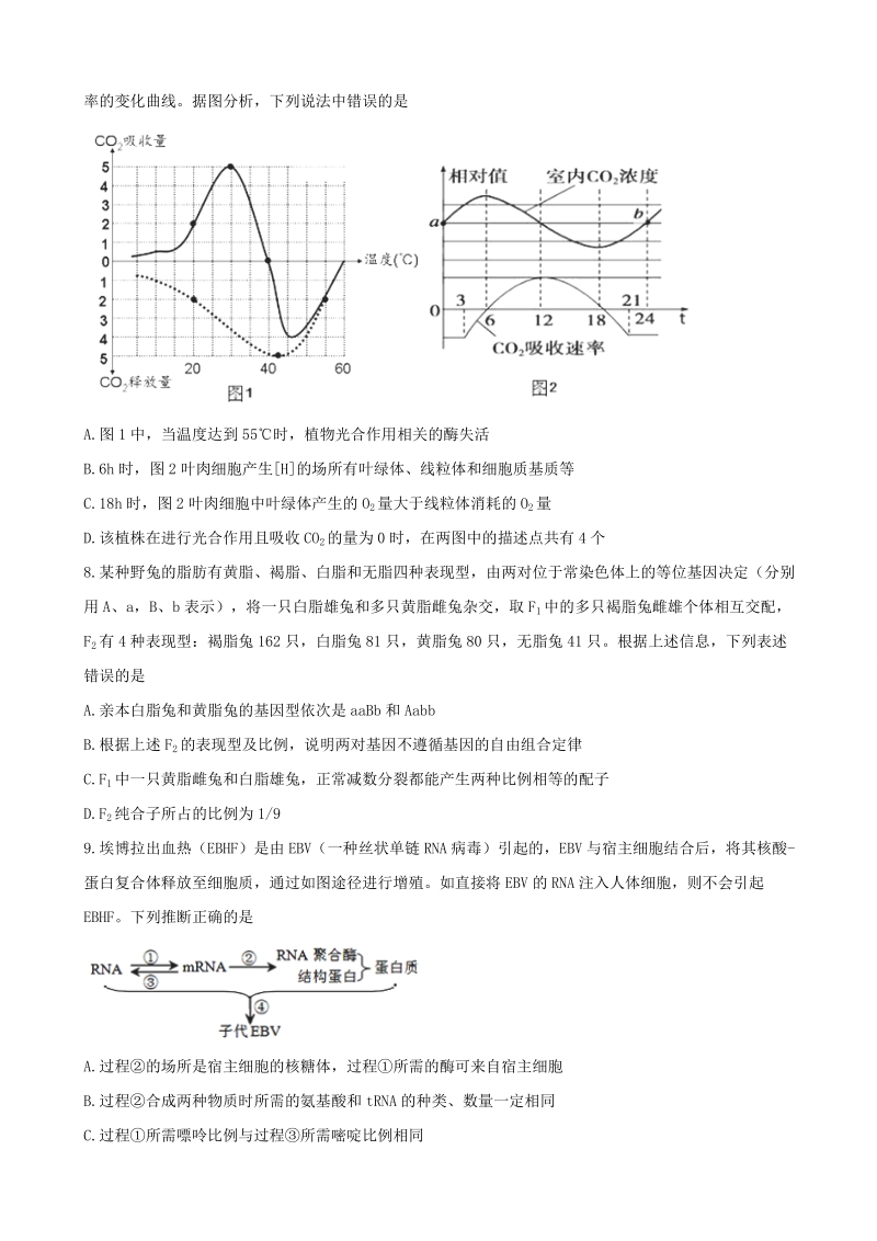 2018年江西省新余市第一中学高三上学期第二次模拟考试 生物.doc_第3页