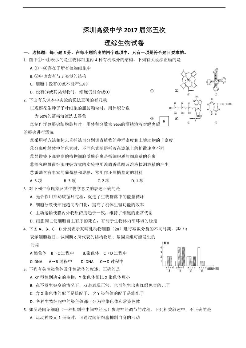 2017年广东省深圳高级中学高三上学期第五次模拟考试 理综生物.doc_第1页