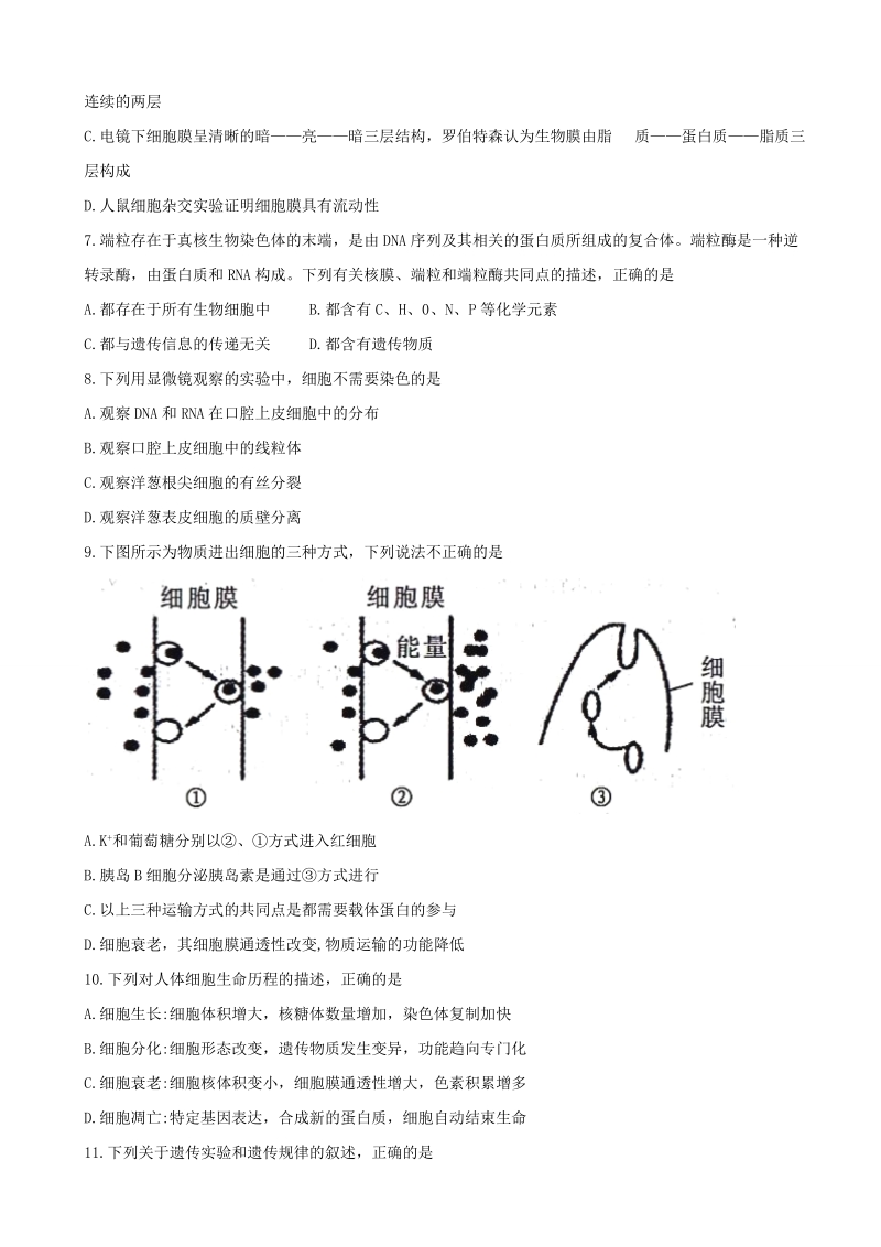 2018年陕西省榆林市高三高考模拟第一次测试生物试题.doc_第2页