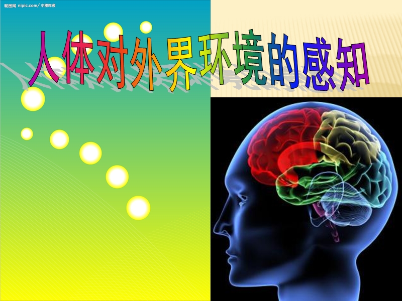 人体对外界环境的感知公开课-(1).ppt_第1页