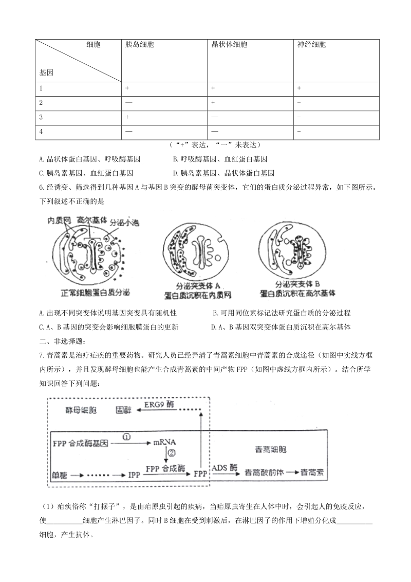 2017年天津市红桥区高三一模生物试题.doc_第2页