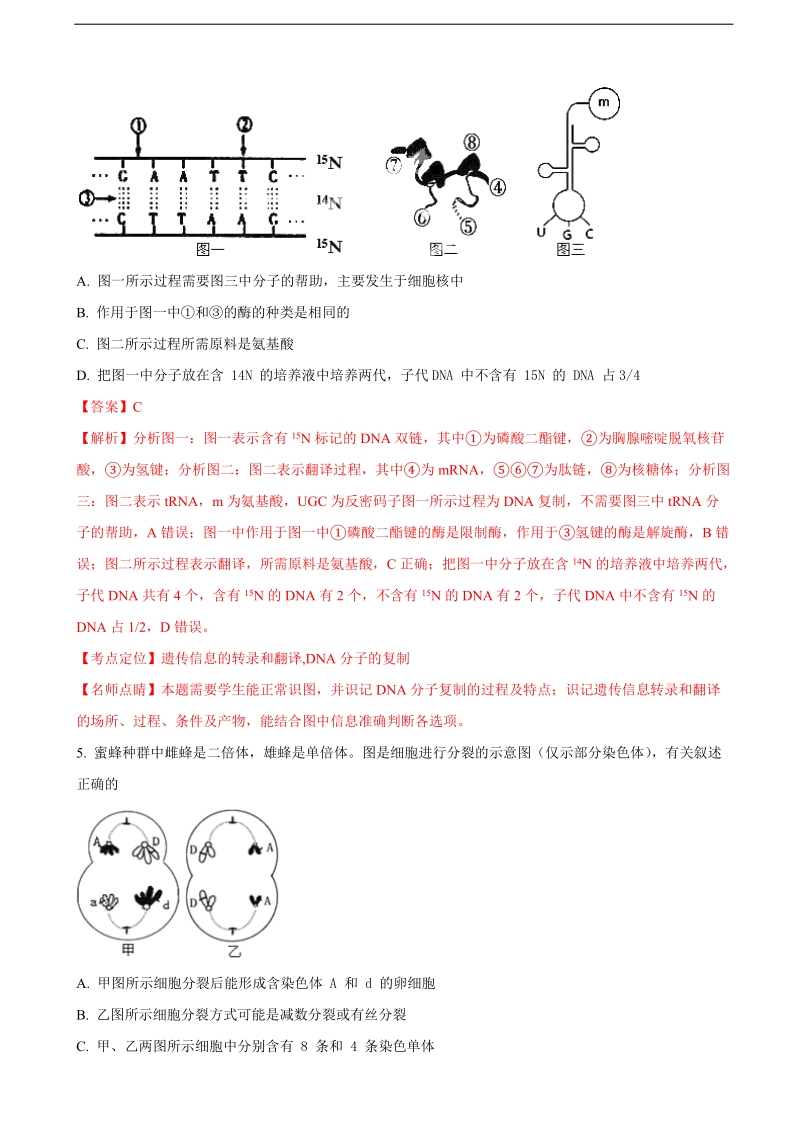 2018年吉林省梅河口市第五中学高三下学期第一次模拟考试理科综合生物试题（解析版）.doc_第3页