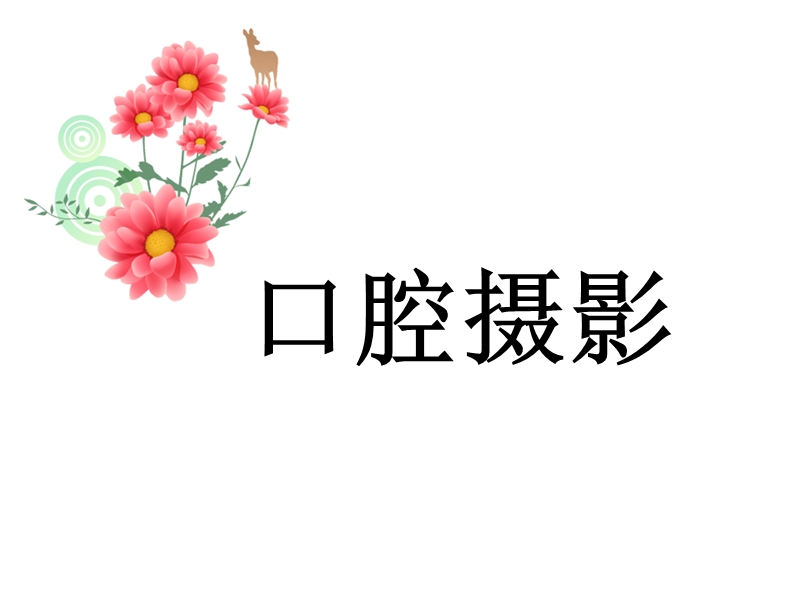 口腔摄影.ppt_第1页