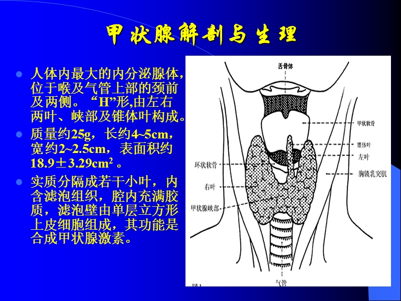 同位素治疗.ppt_第3页