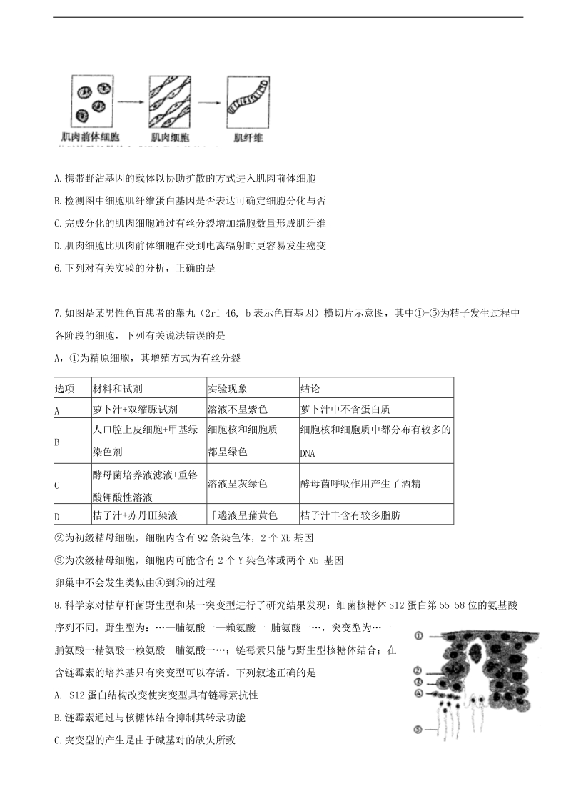 2017年江苏省南京市金陵中学、江苏省海安高级中学、南京外国语学校高三第四次模拟考试生物试题.doc_第2页