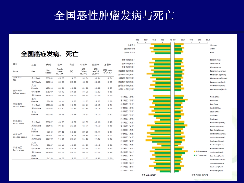 卡培他滨在结直肠癌治疗中的临床应用.ppt_第3页