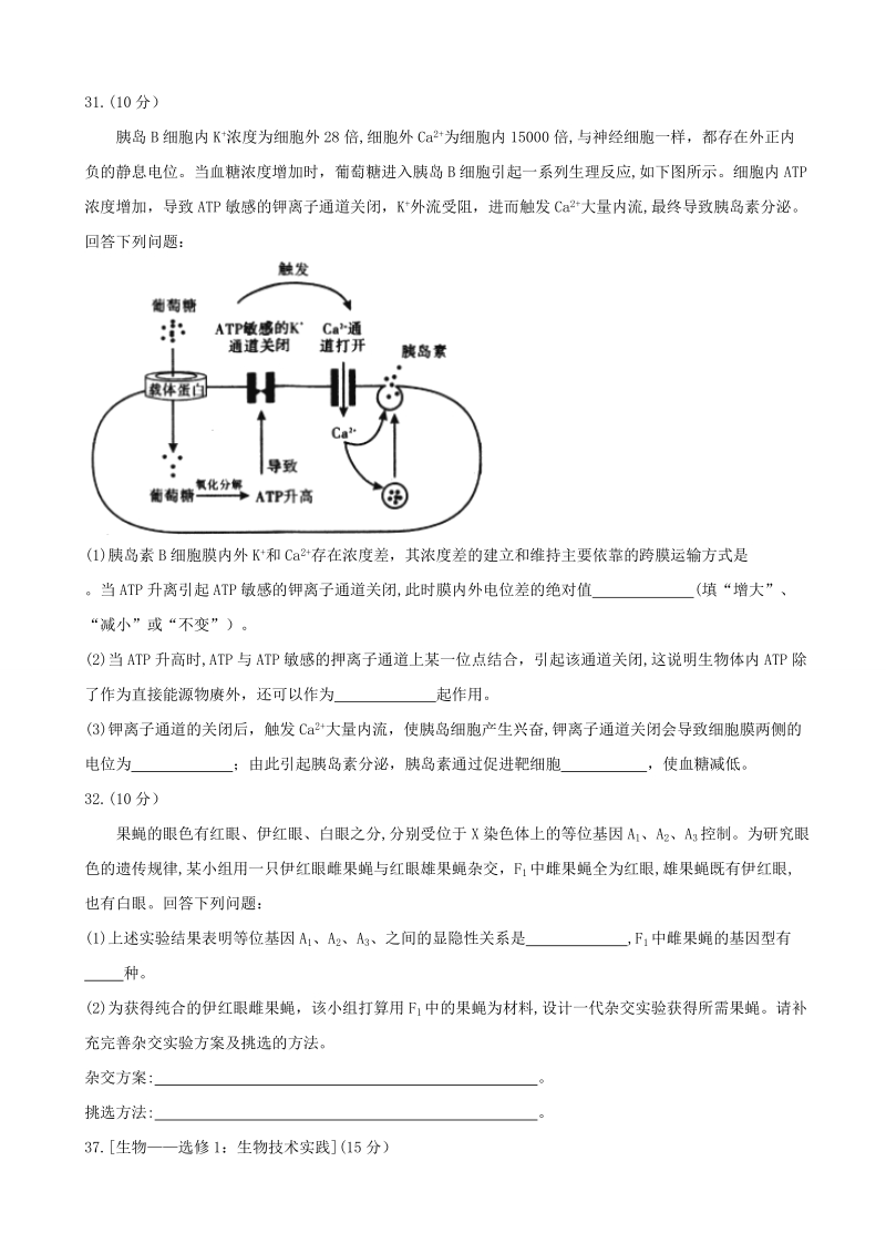 2017年湖北省武汉市高中毕业生四月调研测试理综生物试题.doc_第3页