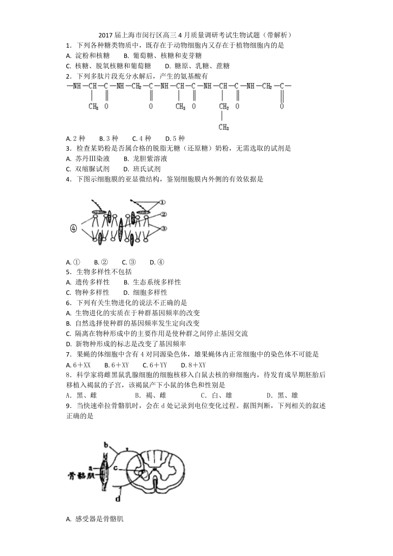 2017年上海市闵行区高三4月质量调研考试生物试题（带解析）.doc_第1页