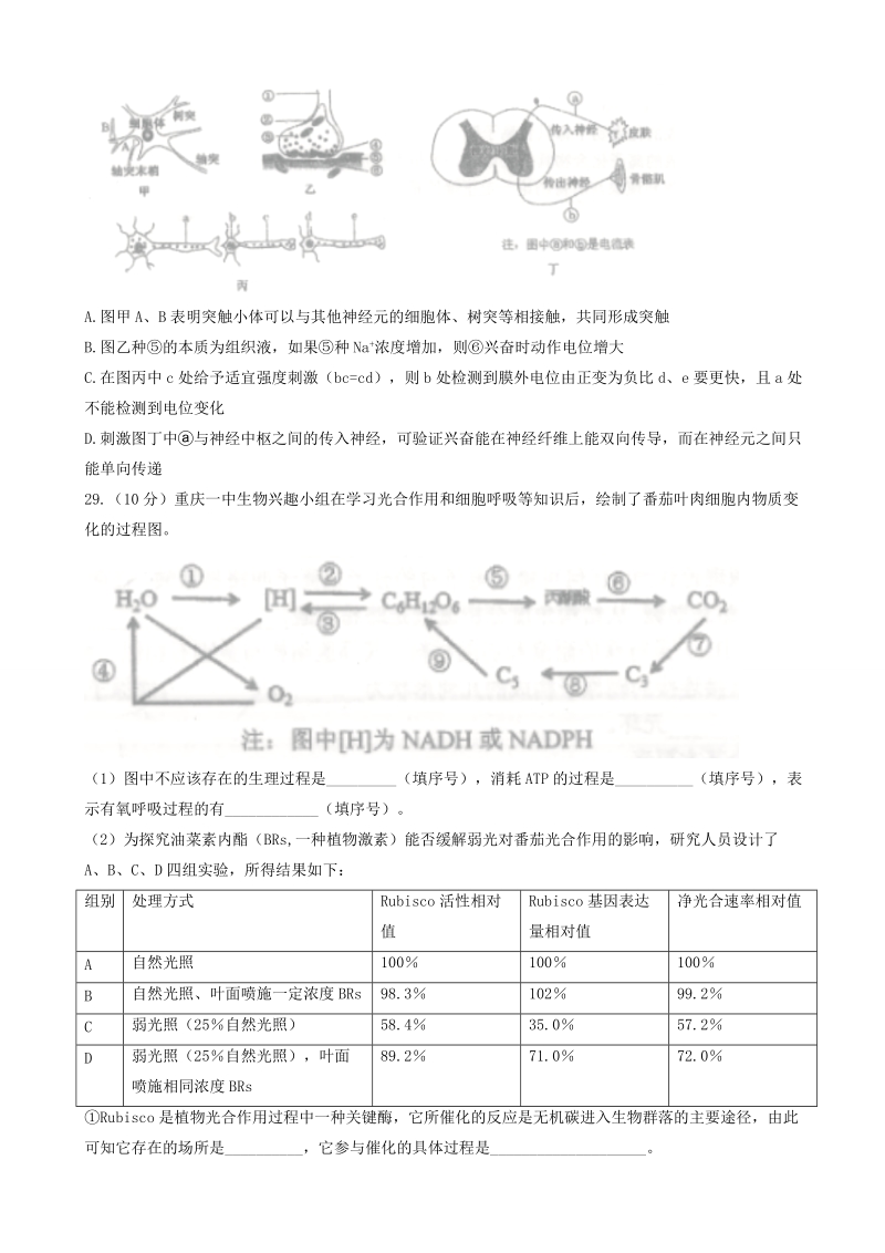 2017年重庆市第一中学高三下学期模拟考试理科综合生物试题.doc_第2页