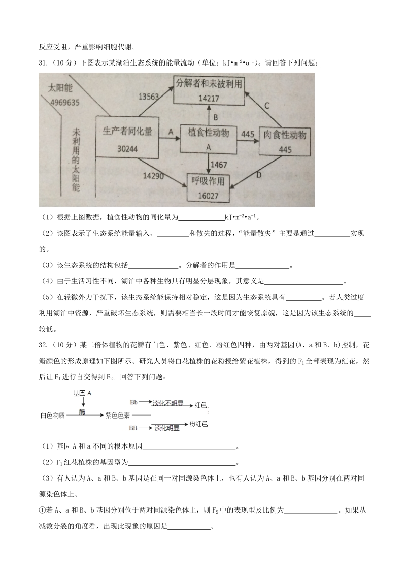 2017年广东省汕头市高三第三次模拟考试理科综合生物试题.doc_第3页