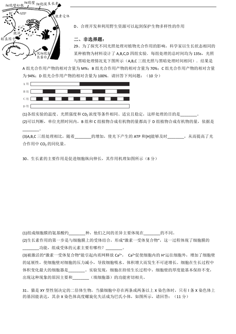 2017年陕西省师大附中高三下学期七模考试理综生物试题.doc_第2页