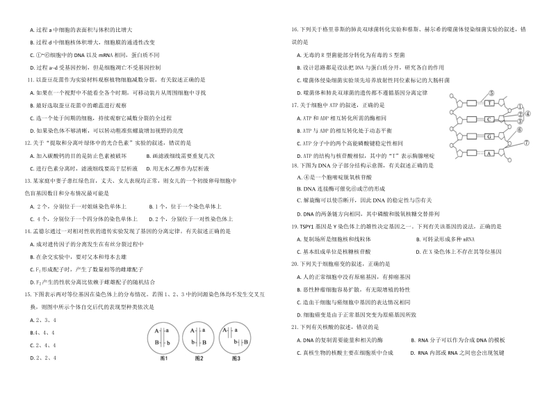 2017年云南省腾冲市第八中学高三下学期模拟（一）生物试卷.doc_第2页