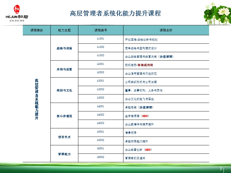 和君集团课程及师资简介.ppt_第3页