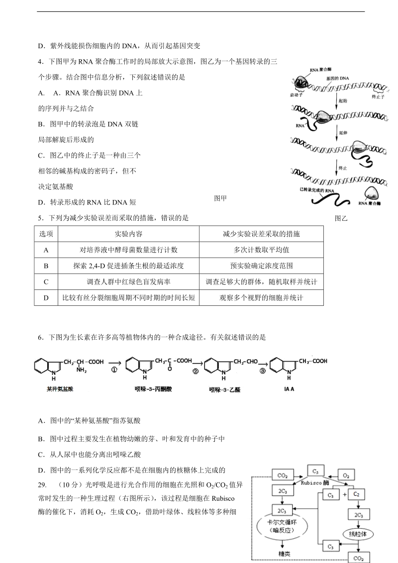 2017年吉林省实验中学高三第九次模拟考试理科综合生物试题（word版）.doc_第2页