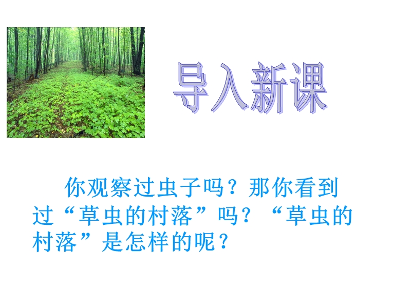 3草虫的村落(57p).ppt_第2页