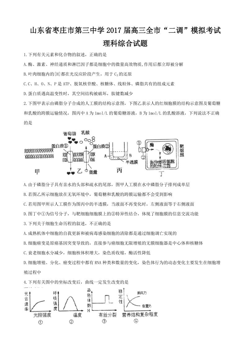 2017年山东省枣庄市第三中学高三全市二调模拟考试理综生物试题.doc_第1页