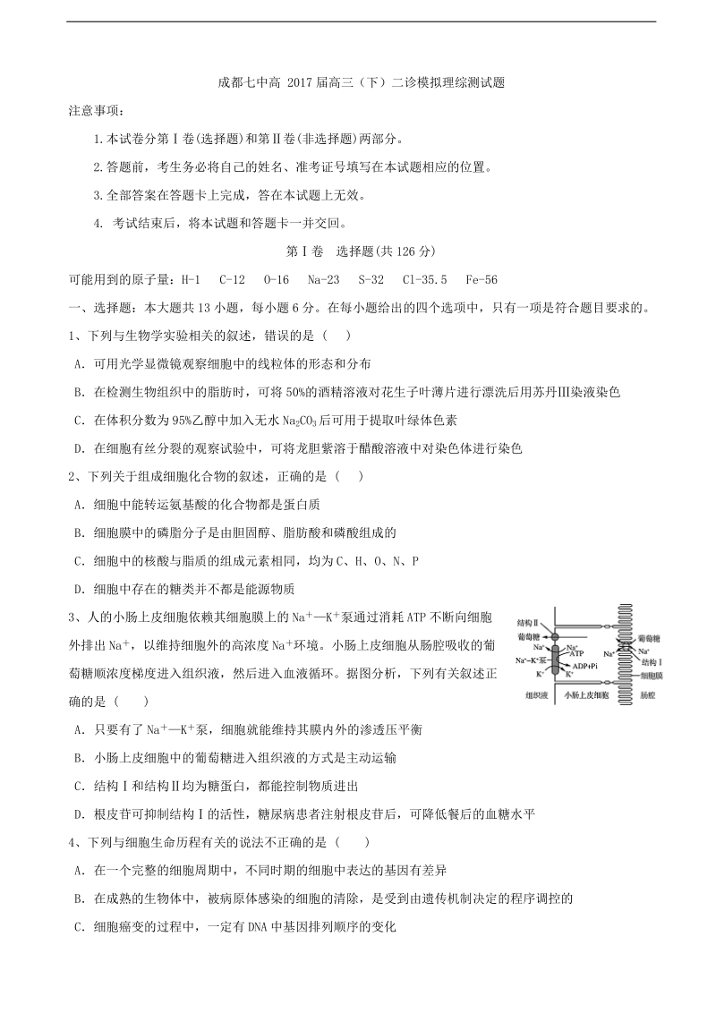 2017年四川省成都市第七中学高三二诊模拟考试理综生物试题.doc_第1页