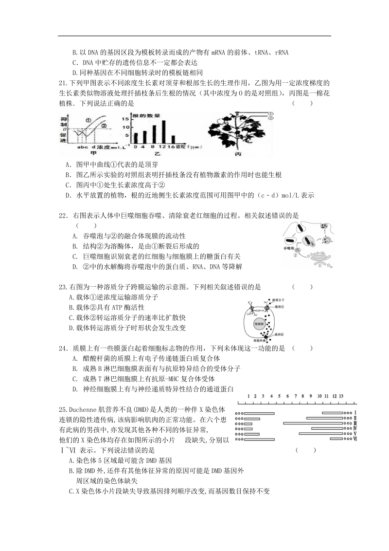 2017年浙江省杭州市萧山区命题比赛模拟试卷高中生物试卷（14）.doc_第3页