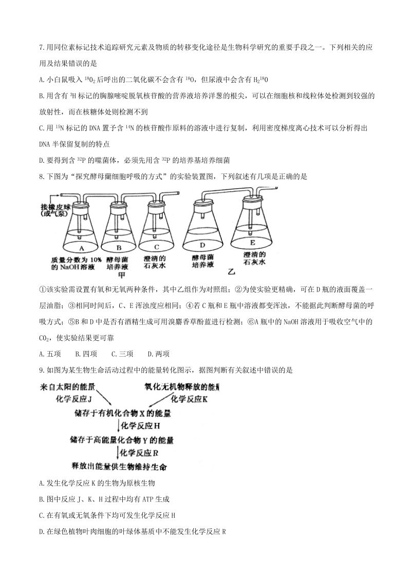 2018年河南省郑州外国语学校高三上学期第七次调研考试生物试题（无答案）.doc_第3页