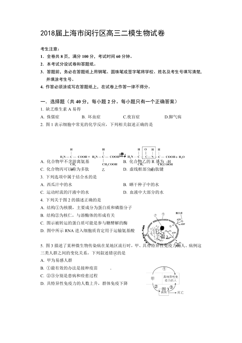 2018年上海市闵行区高三二模生物试卷（word版）.docx_第1页