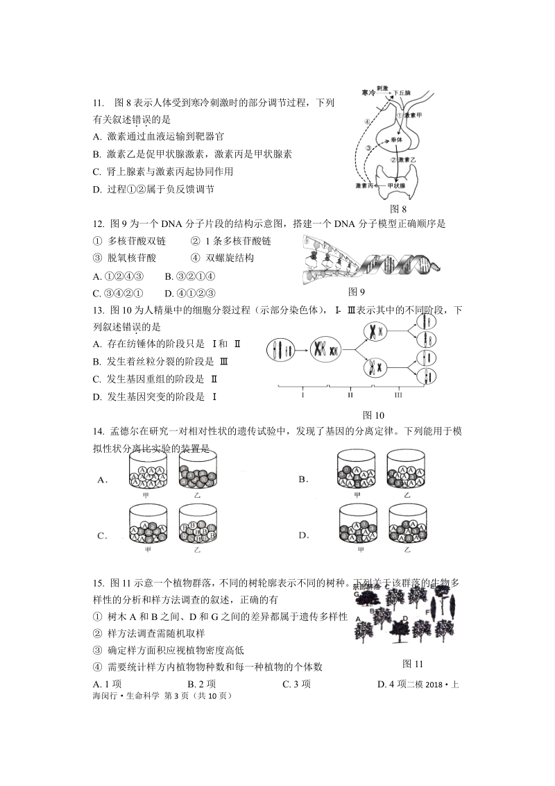 2018年上海市闵行区高三二模生物试卷（word版）.docx_第3页