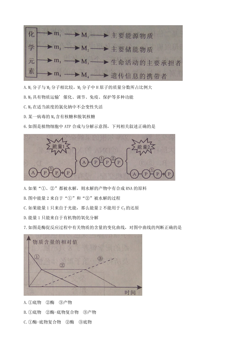 2018年湖南省永州市高三上学期第一次模拟考试 生物.doc_第2页