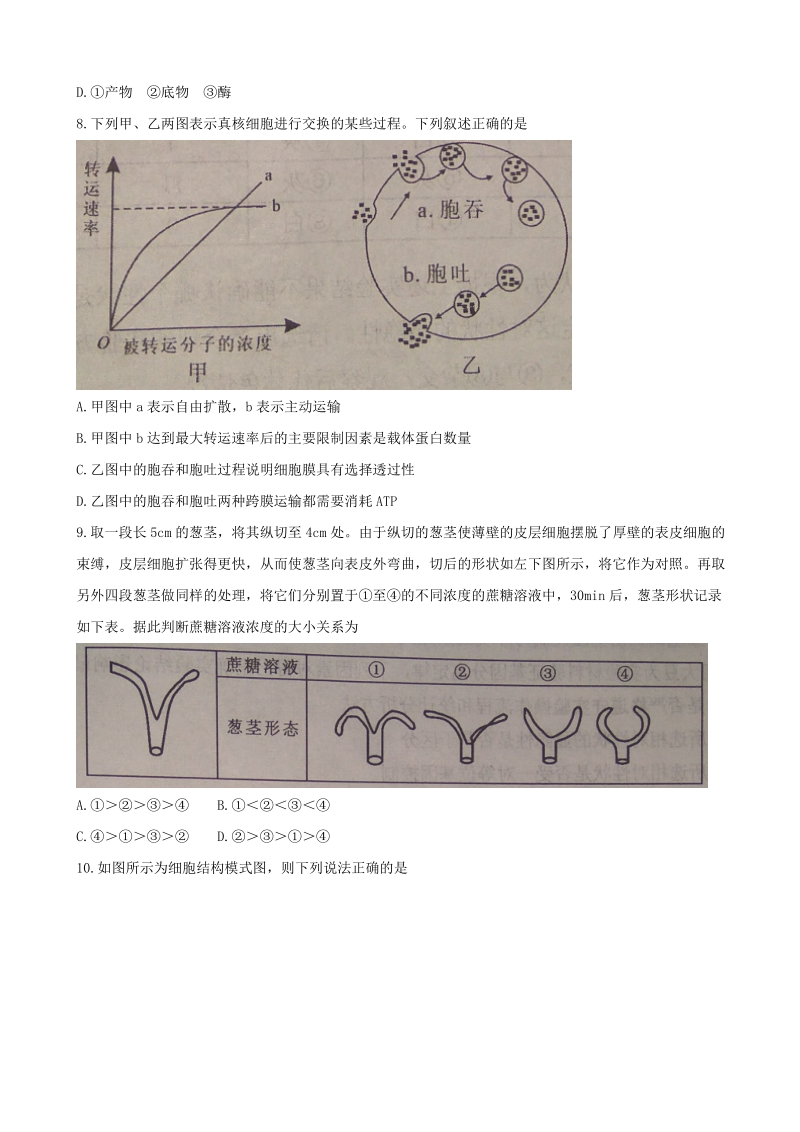 2018年湖南省永州市高三上学期第一次模拟考试 生物.doc_第3页