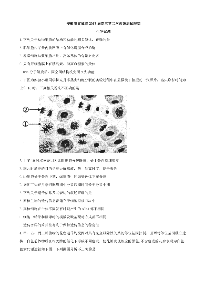 2017年安徽省宣城市高三第二次调研测试理综生物试题.doc_第1页