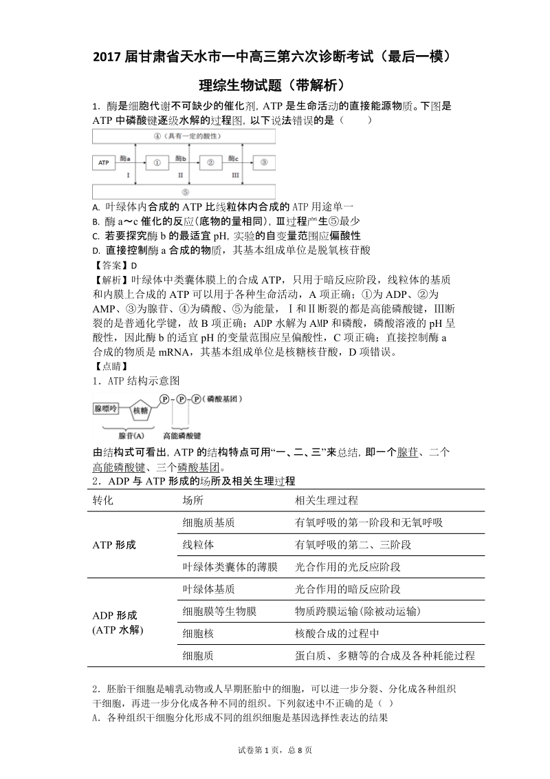 2017年甘肃省天水市一中高三第六次诊断考试（最后一模）理综生物试题（带解析）.doc_第1页