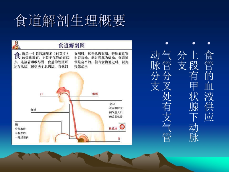 食管癌护理.ppt_第3页