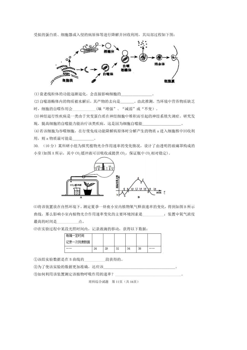 2017年广东省珠海市高三5月质量监测（二模）理综生物试题（图片版）.doc_第3页