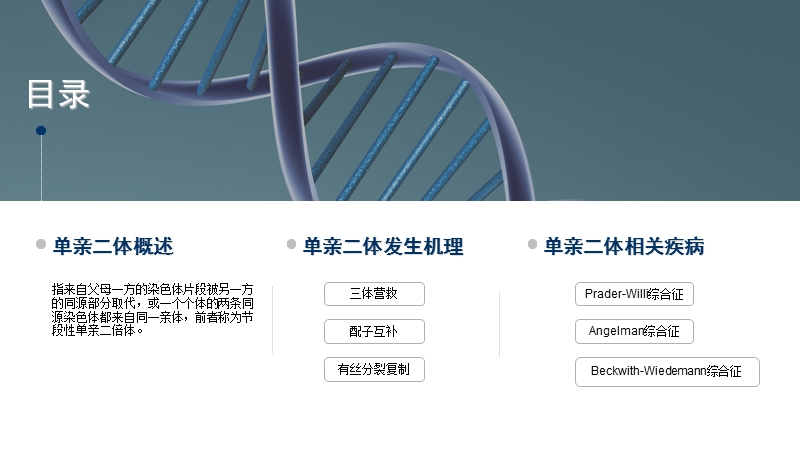 单亲二体-产前诊断中心.ppt_第2页