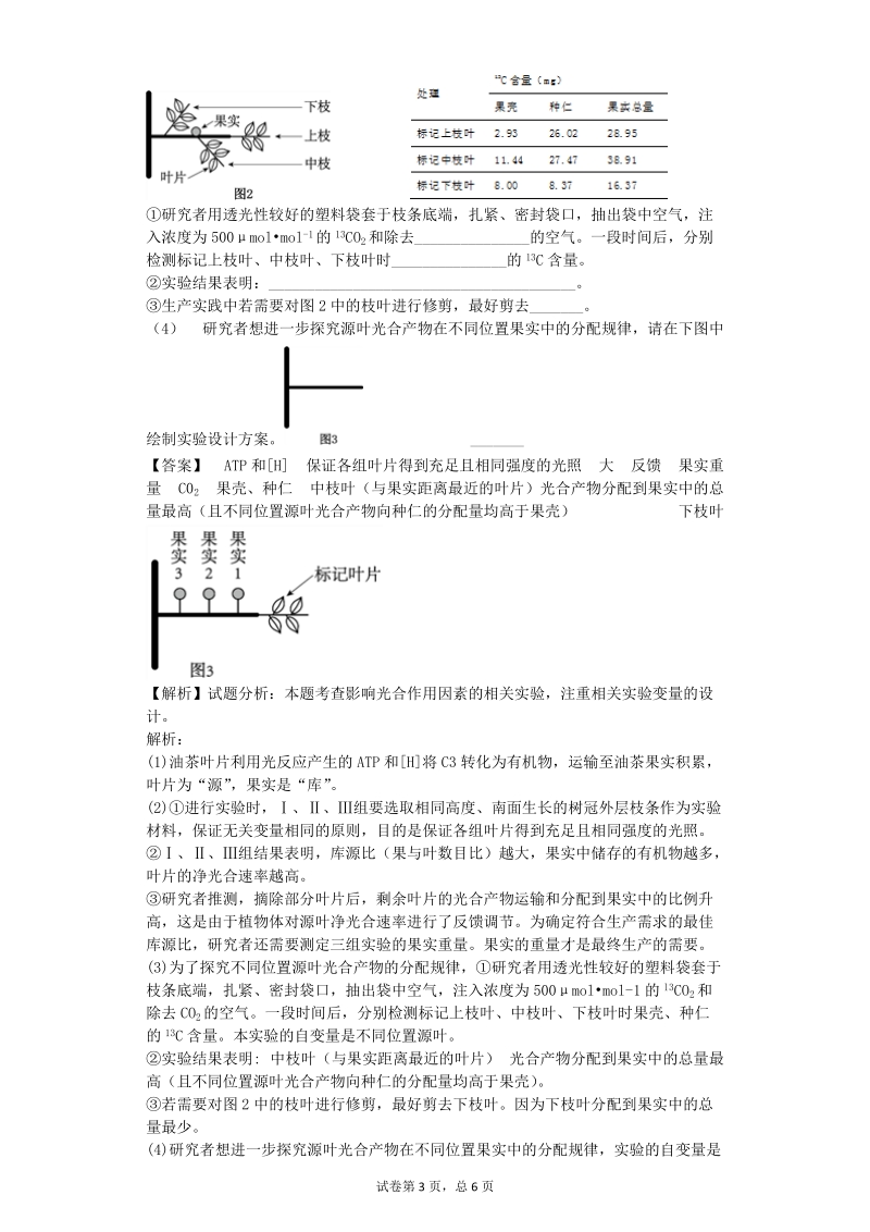 2017年北京市海淀区高三3月适应性考试(零模)理综生物试题（带解析）.doc_第3页