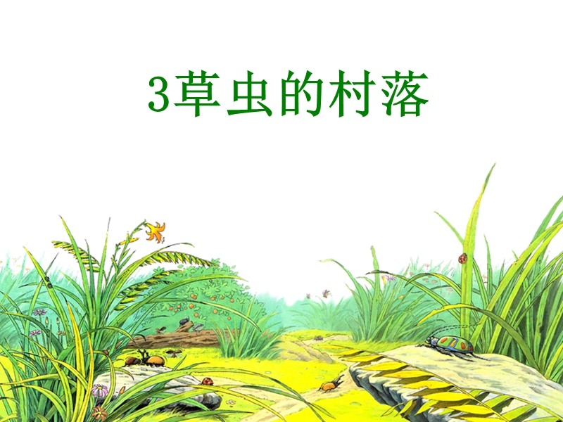 3.《草虫的村落》课件-(1)修改-(1).ppt_第1页