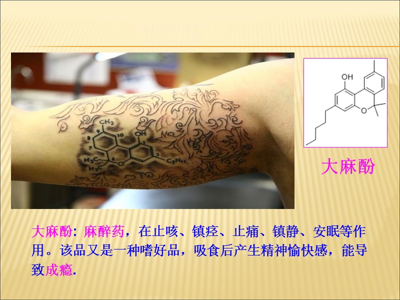 分子也艺术-2014.ppt_第3页