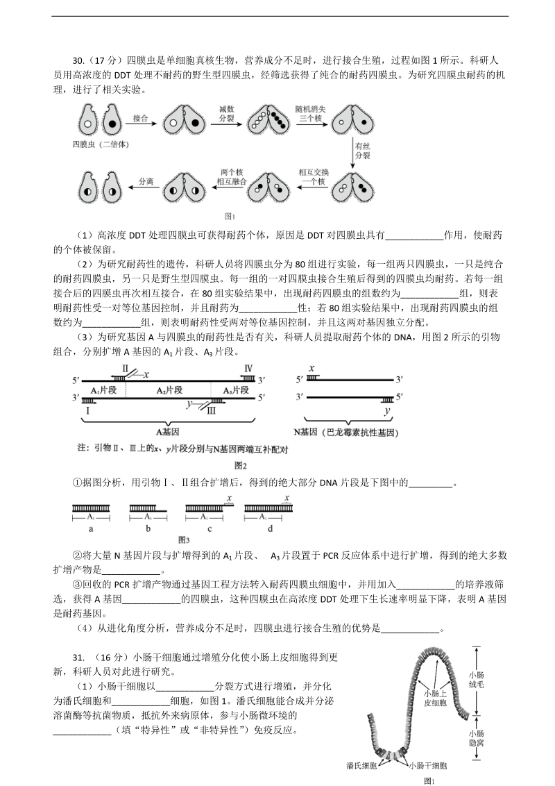 2017年北京市海淀区高三下学期期中（一模）考试生物试题.doc_第3页